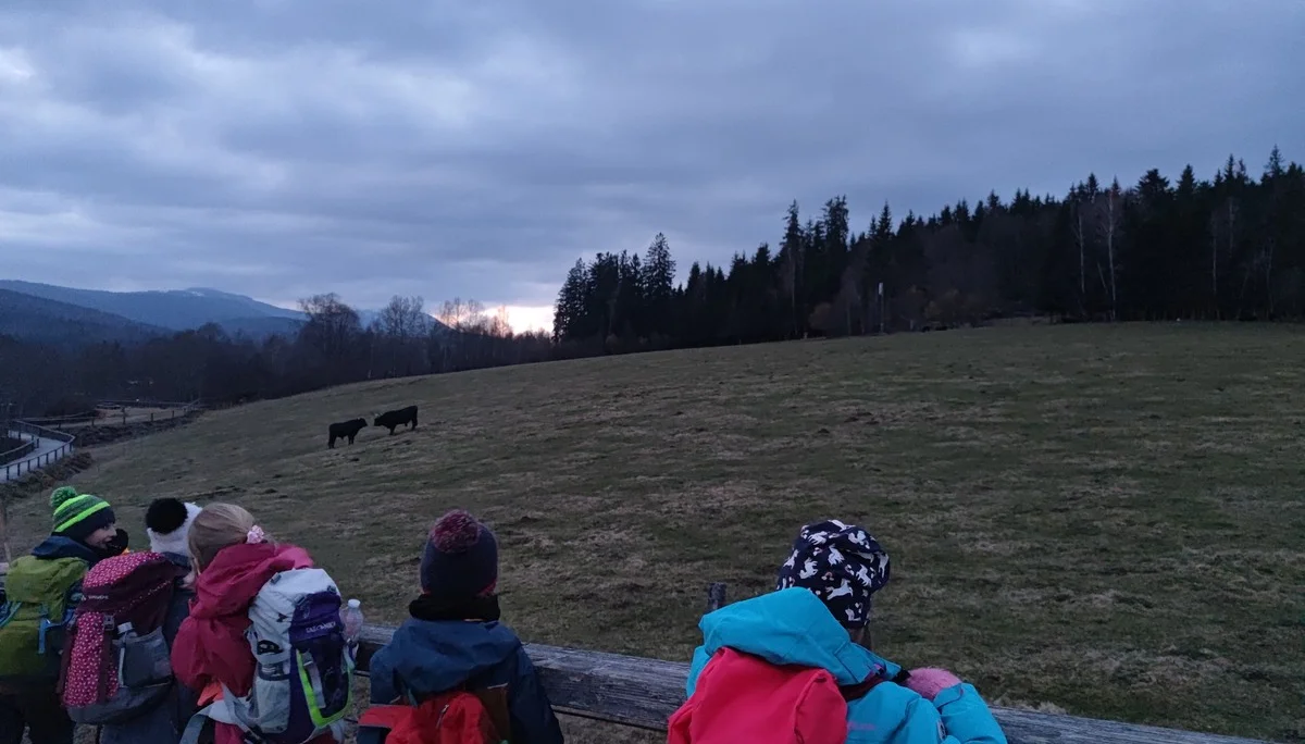 Bayerischer Wald | © Schlappinger Anna