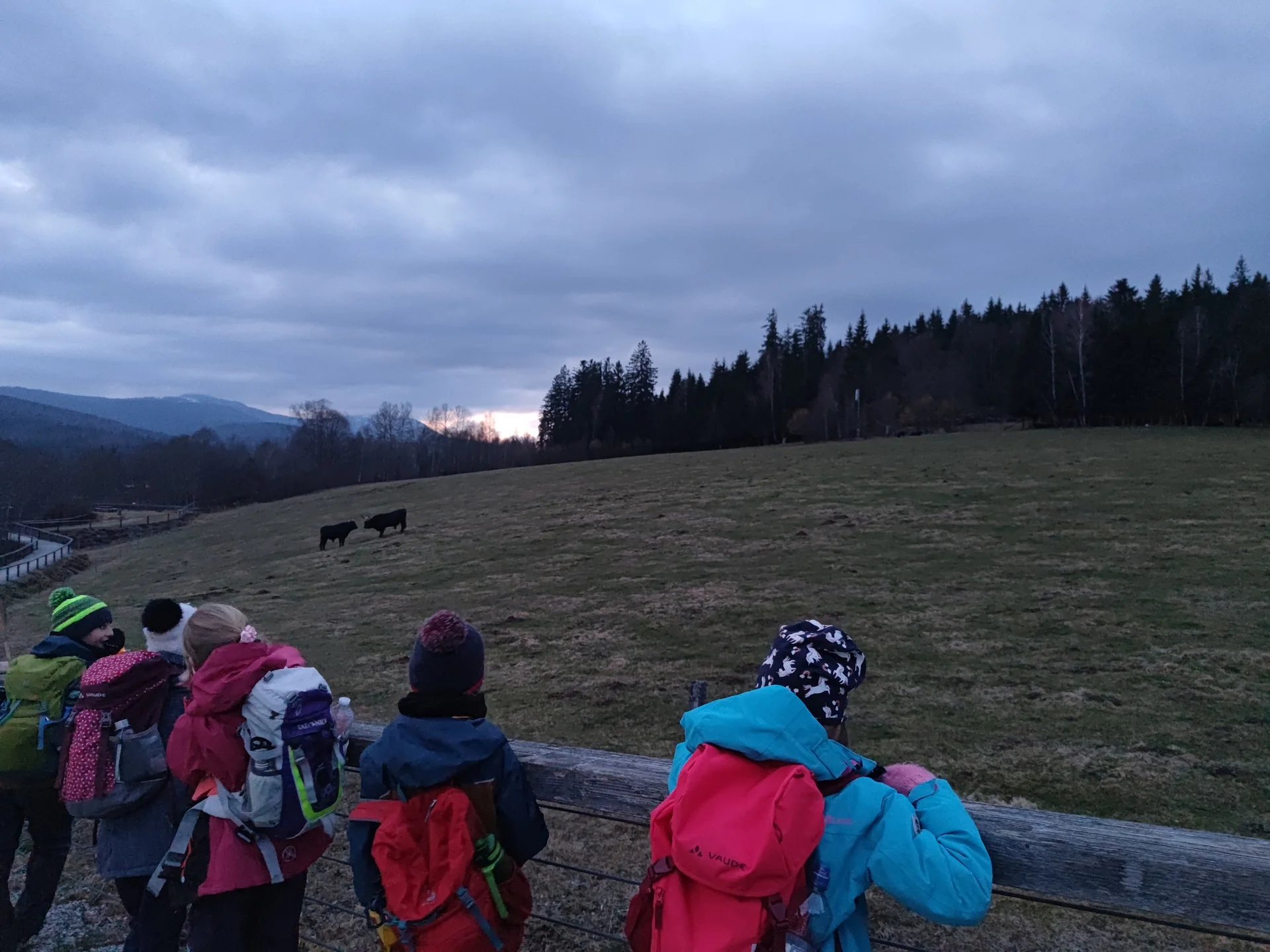 Bayerischer Wald | © Schlappinger Anna