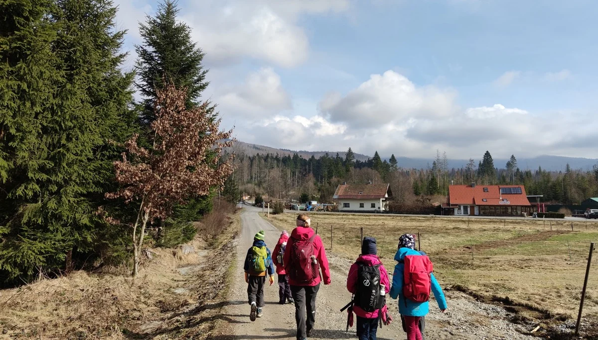Bayerischer Wald | © Schlappinger Anna