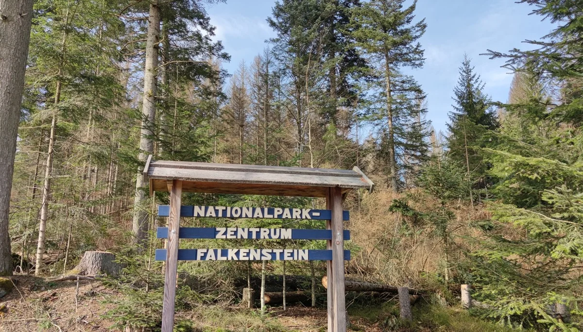 Bayerischer Wald | © Schlappinger Anna