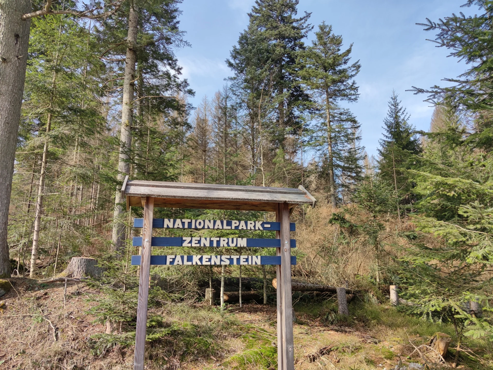 Bayerischer Wald | © Schlappinger Anna