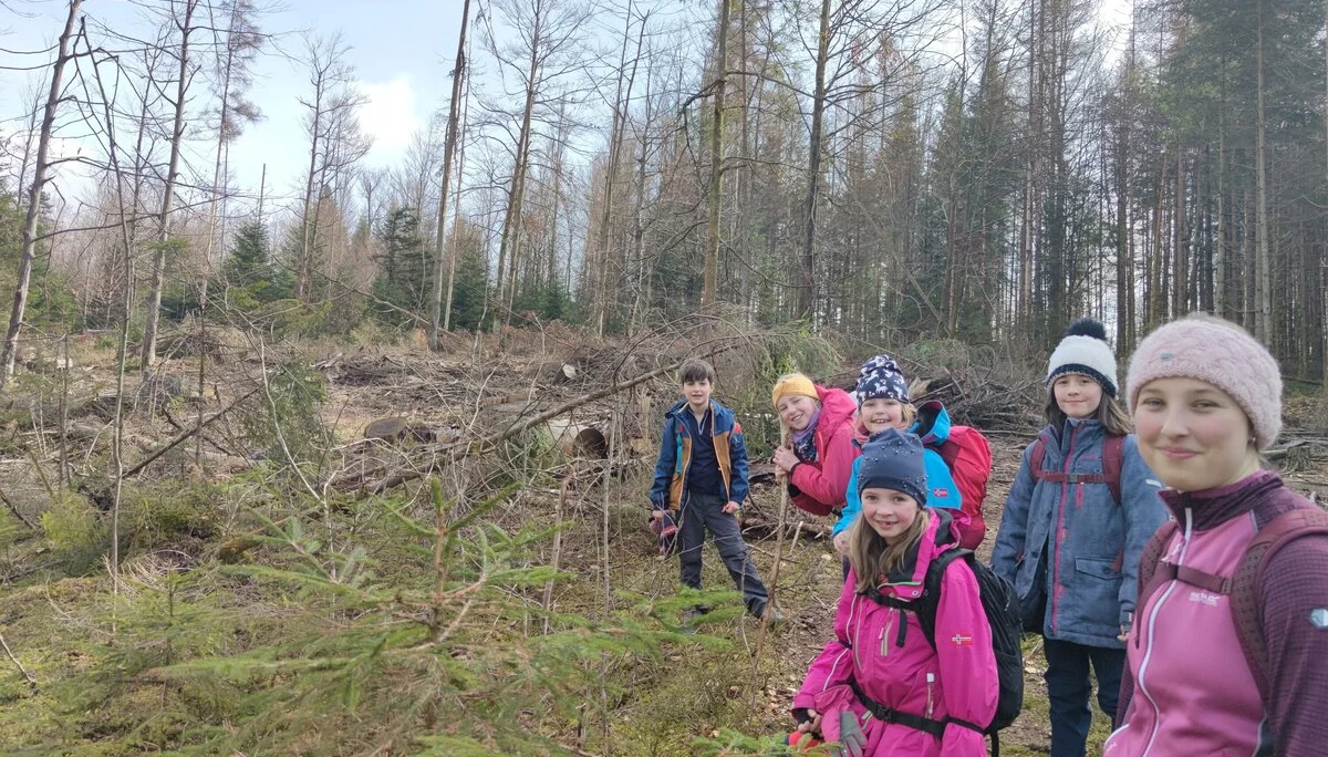 Bayerischer Wald | © Schlappinger Anna