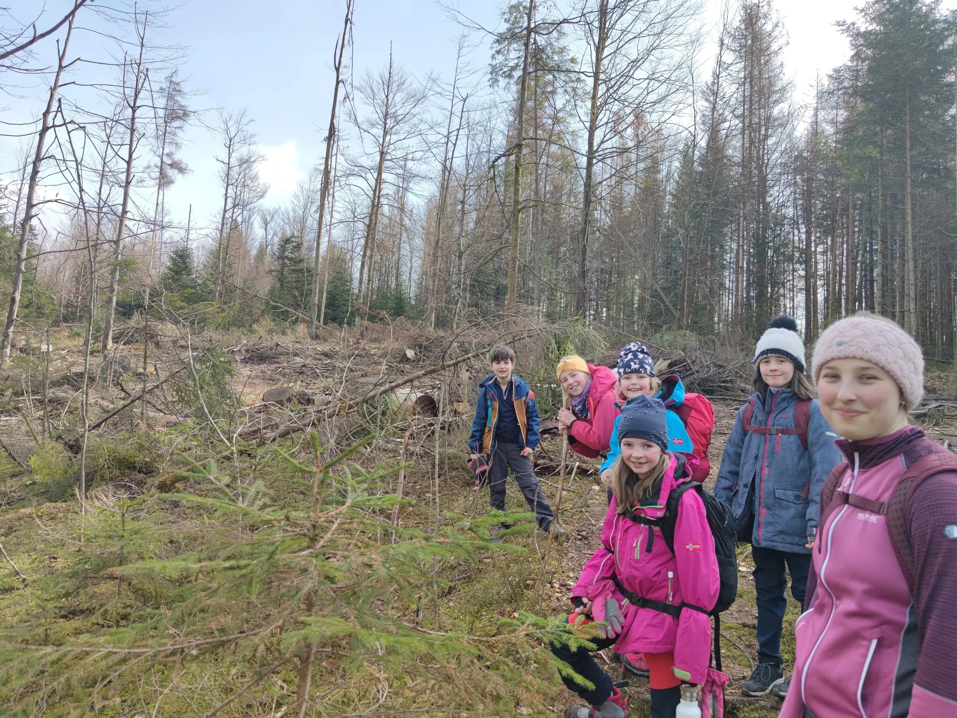 Bayerischer Wald | © Schlappinger Anna