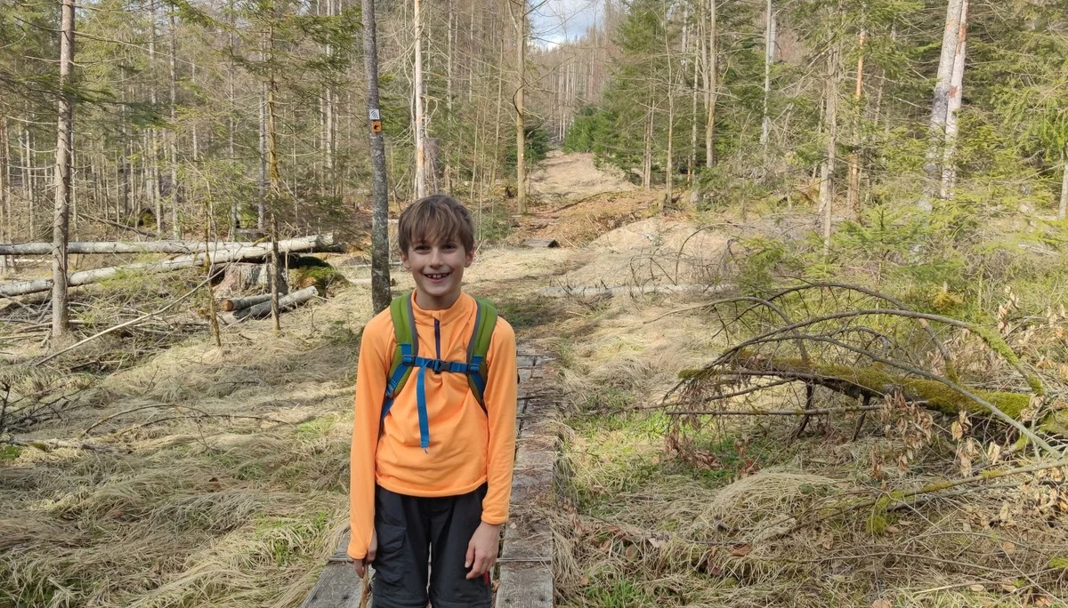 Bayerischer Wald | © Schlappinger Anna