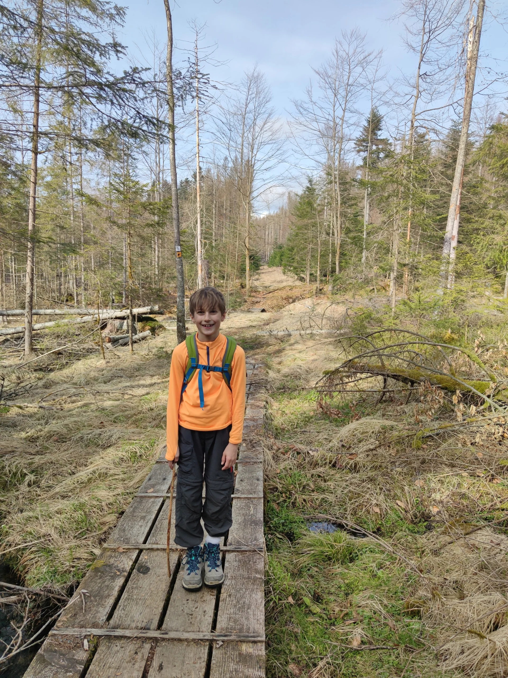 Bayerischer Wald | © Schlappinger Anna