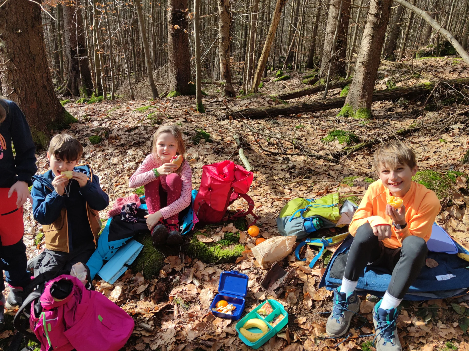 Bayerischer Wald | © Schlappinger Anna