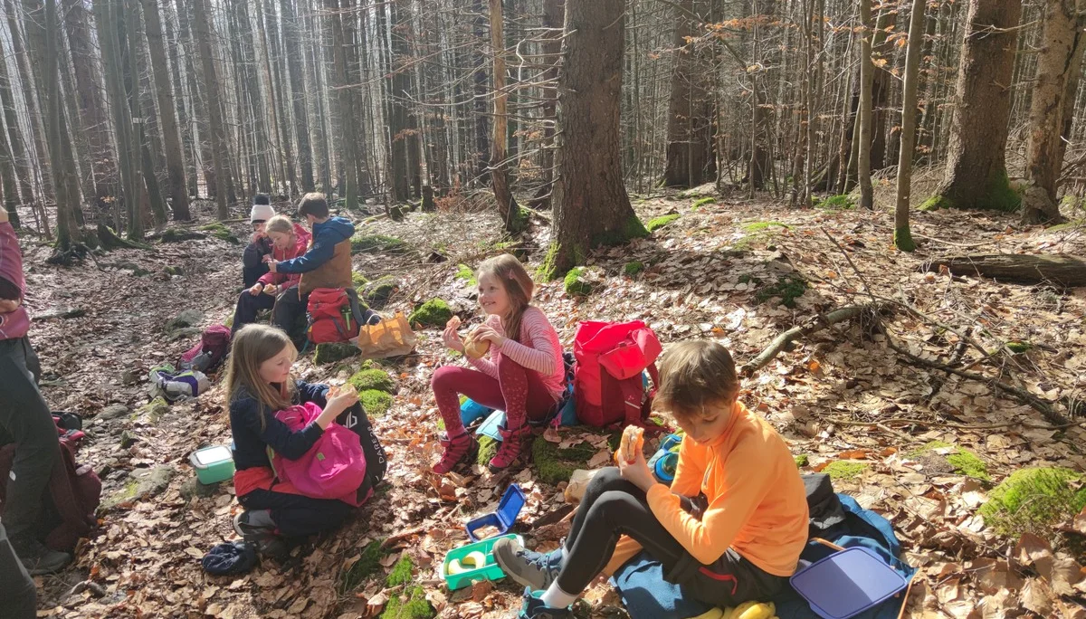 Bayerischer Wald | © Schlappinger Anna