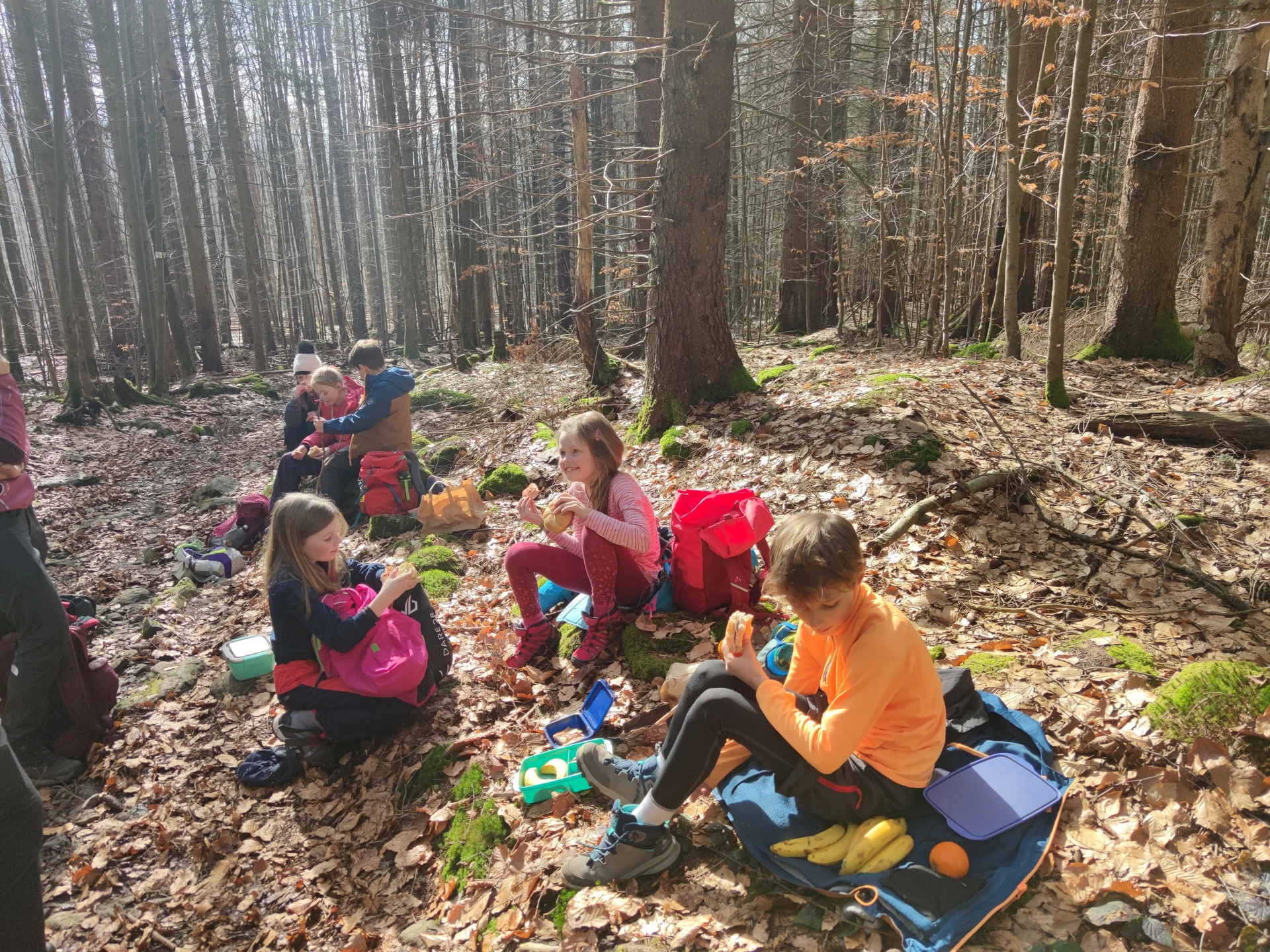 Bayerischer Wald | © Schlappinger Anna