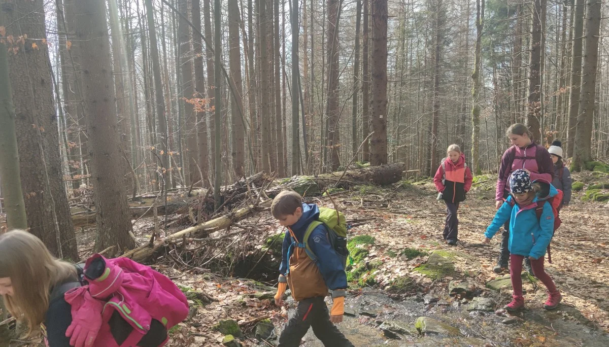 Bayerischer Wald | © Schlappinger Anna