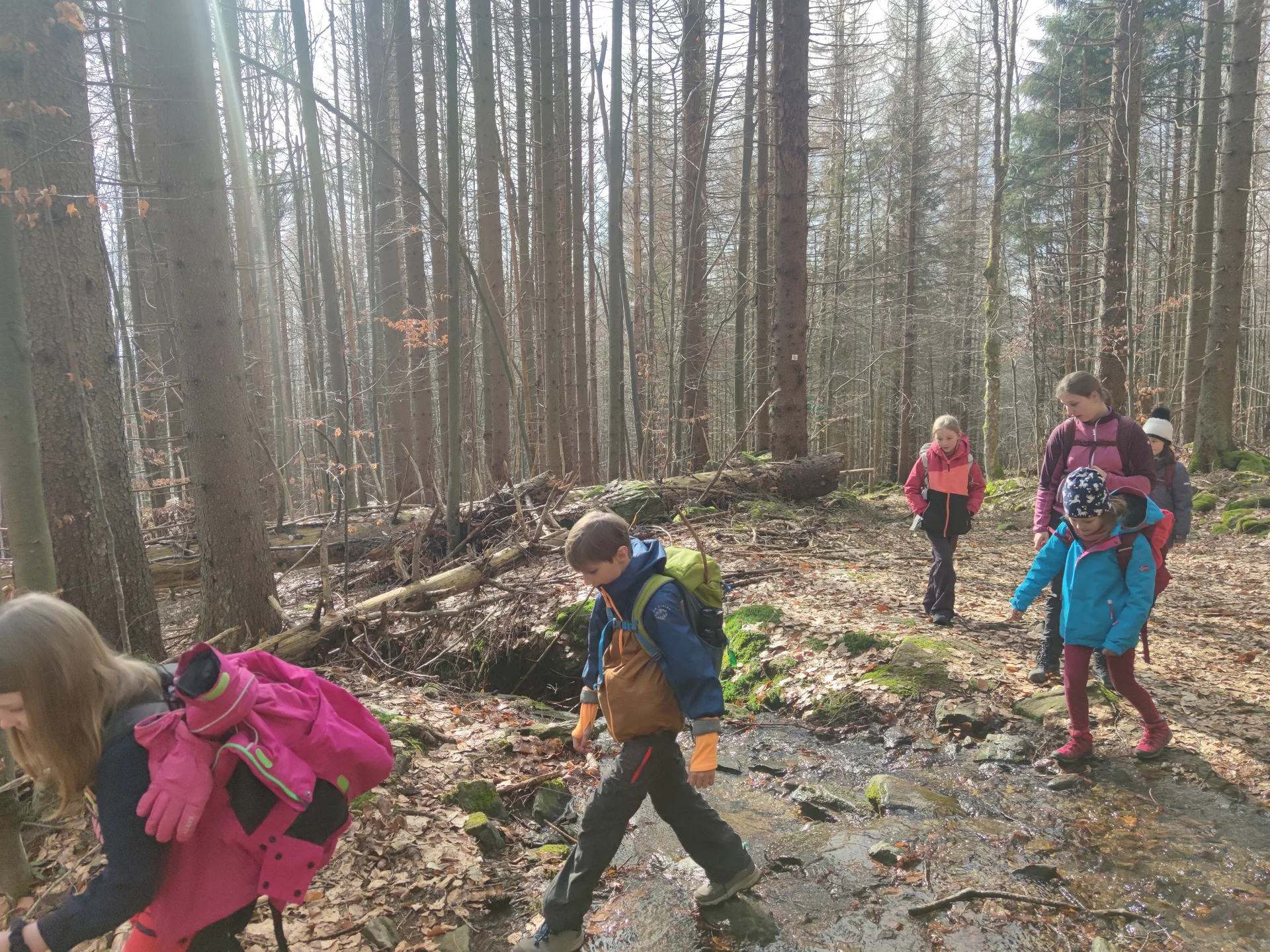 Bayerischer Wald | © Schlappinger Anna