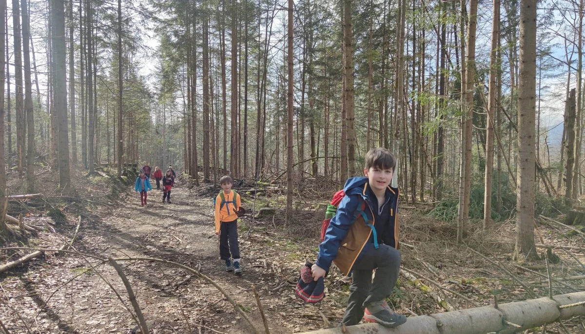 Bayerischer Wald | © Schlappinger Anna