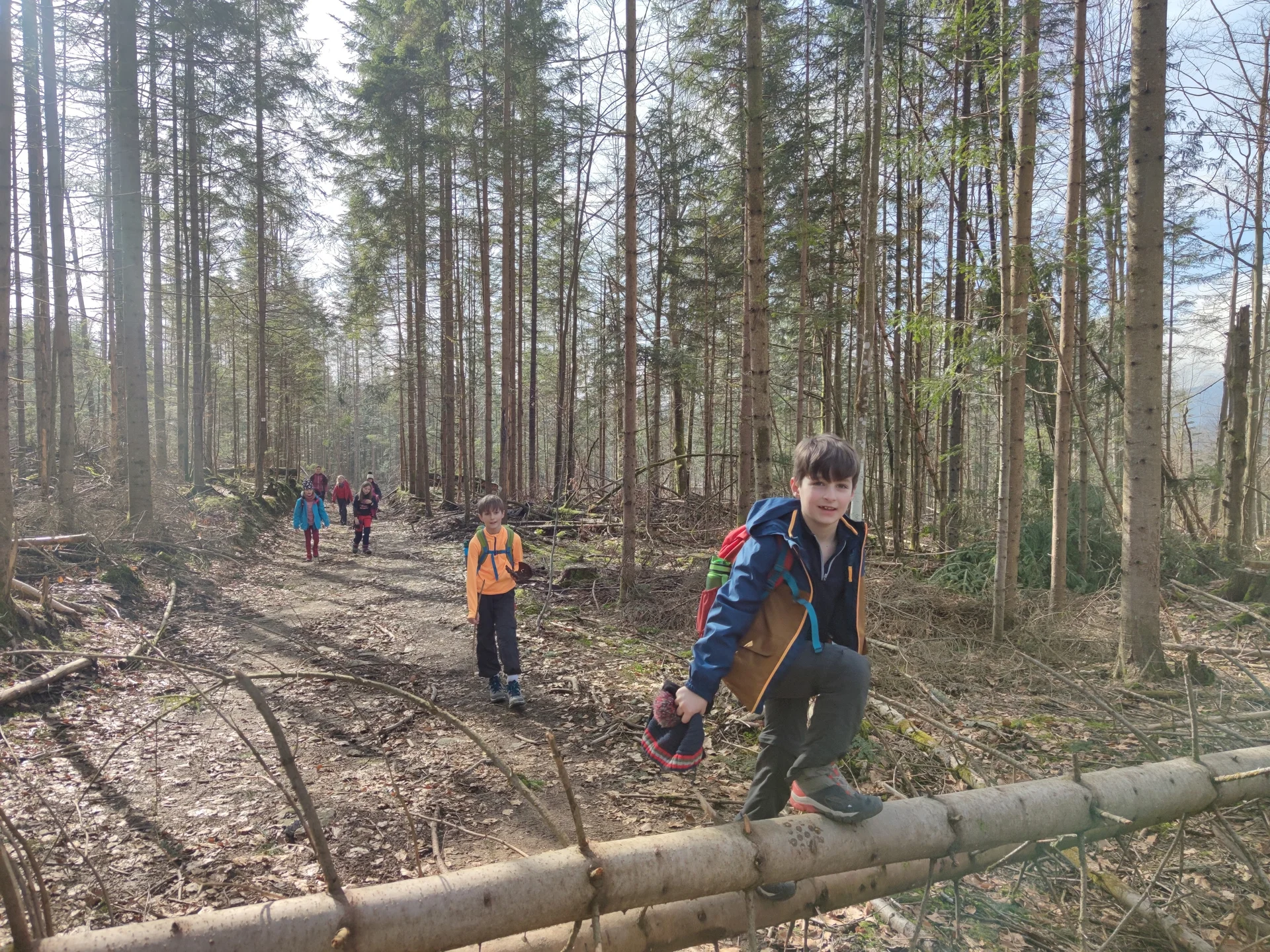 Bayerischer Wald | © Schlappinger Anna