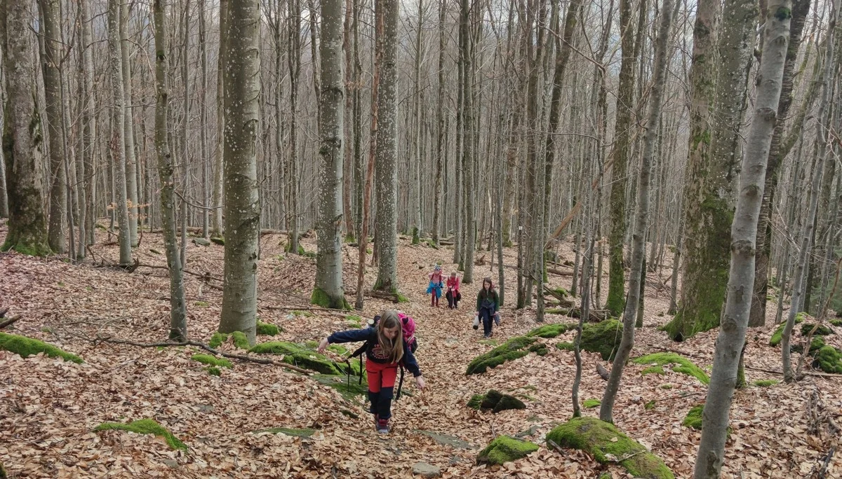 Bayerischer Wald | © Schlappinger Anna