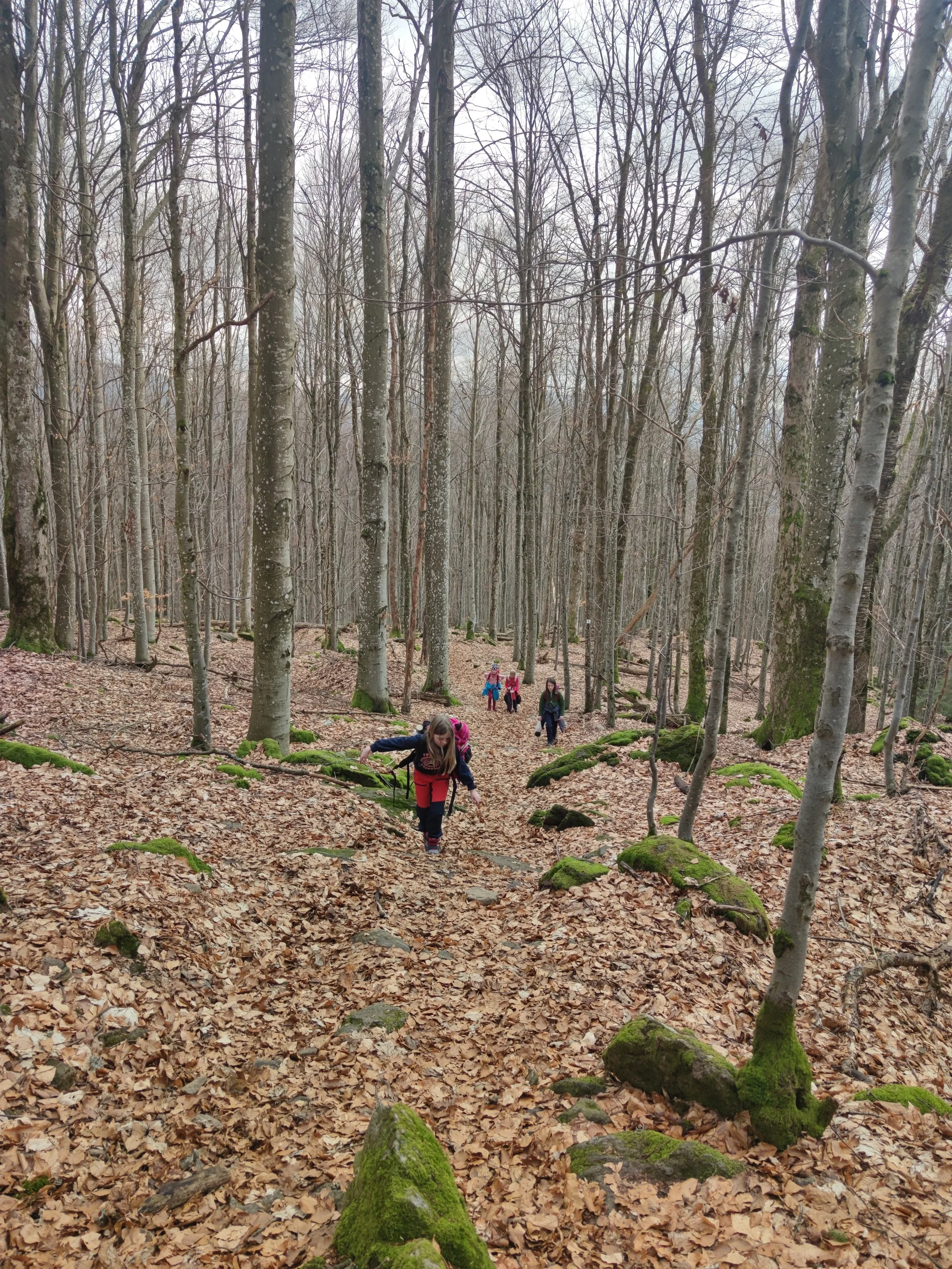 Bayerischer Wald | © Schlappinger Anna