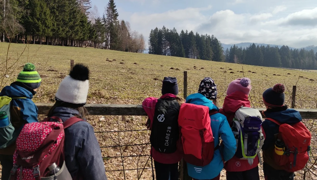 Bayerischer Wald | © Schlappinger Anna