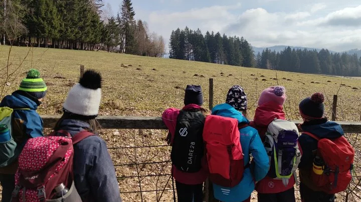 Bayerischer Wald | © Schlappinger Anna