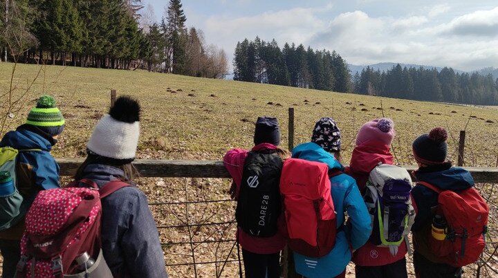 Bayerischer Wald | © Schlappinger Anna