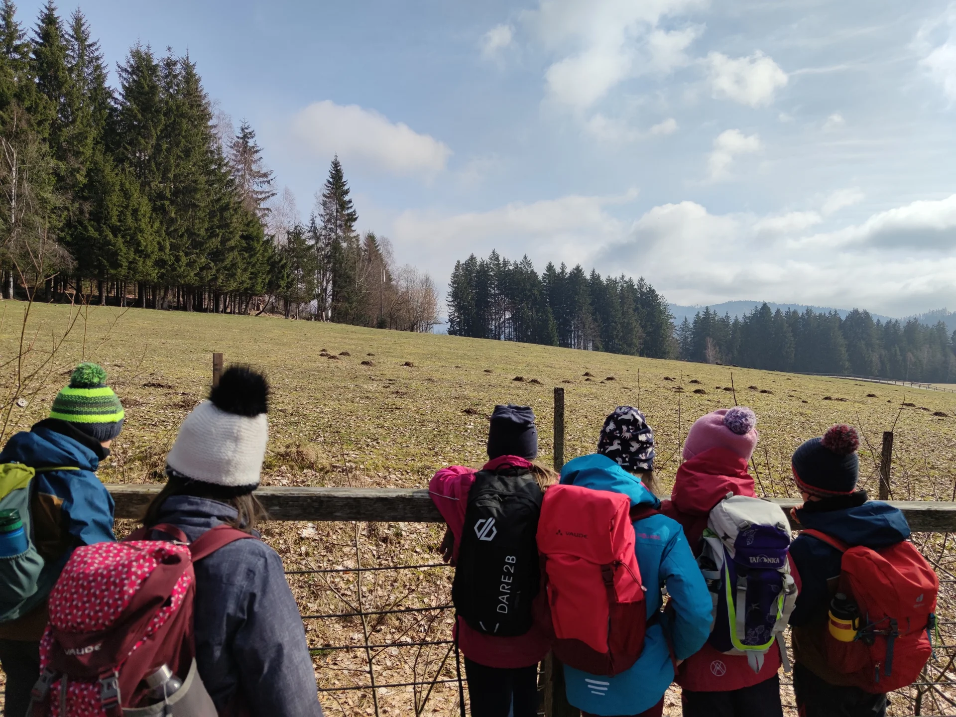 Bayerischer Wald | © Schlappinger Anna