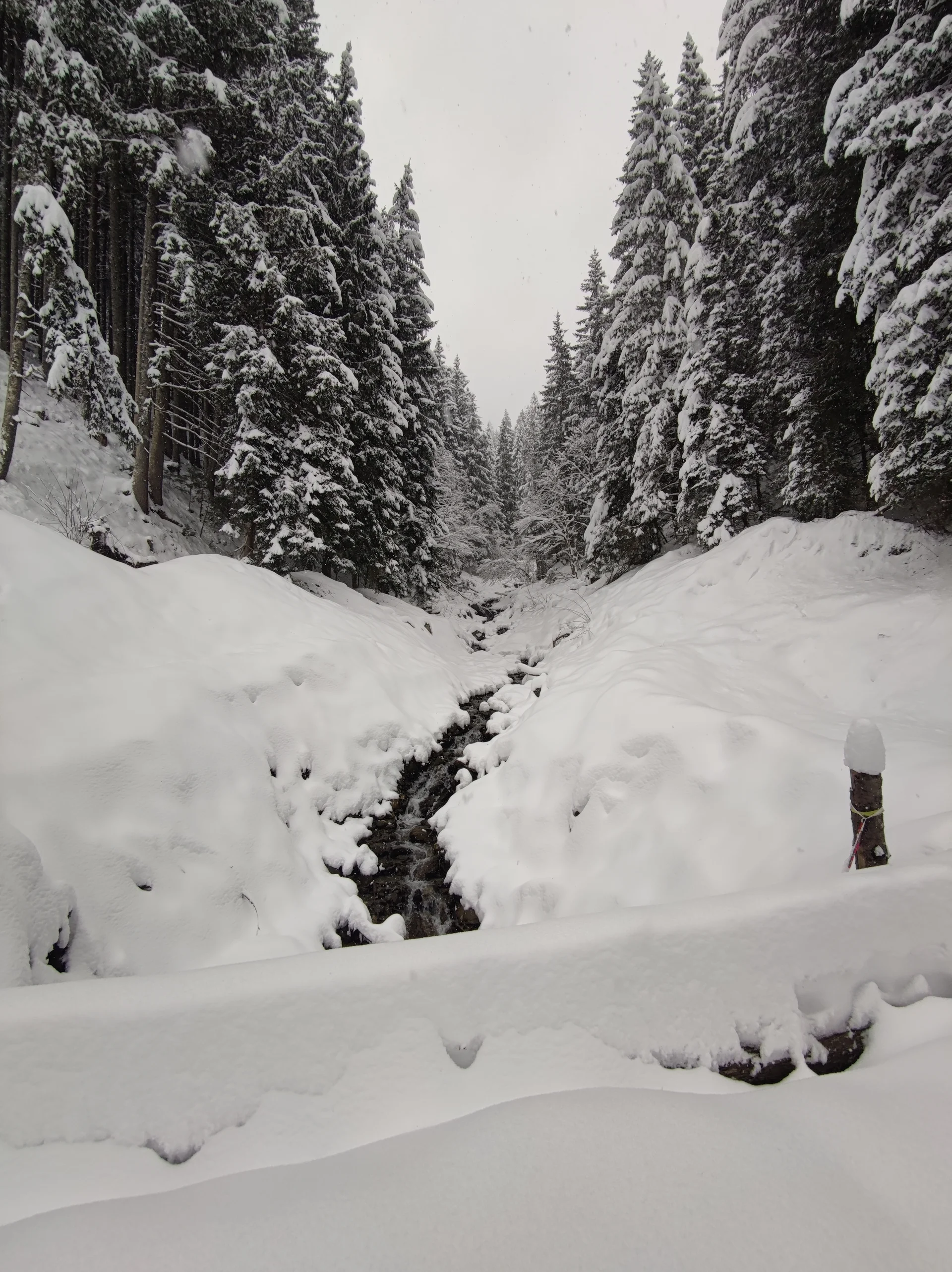 Bochumer Hütte | © Schlappinger Anna