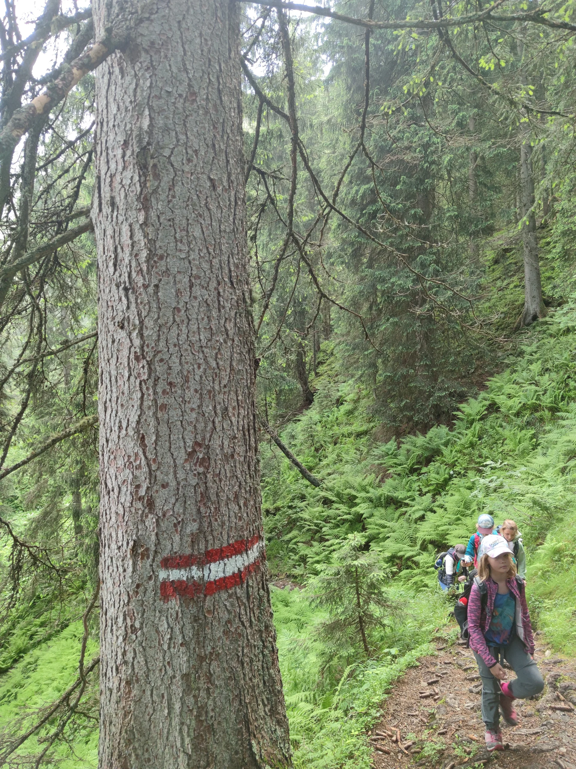 Bochumer Hütte | © Schlappinger Anna