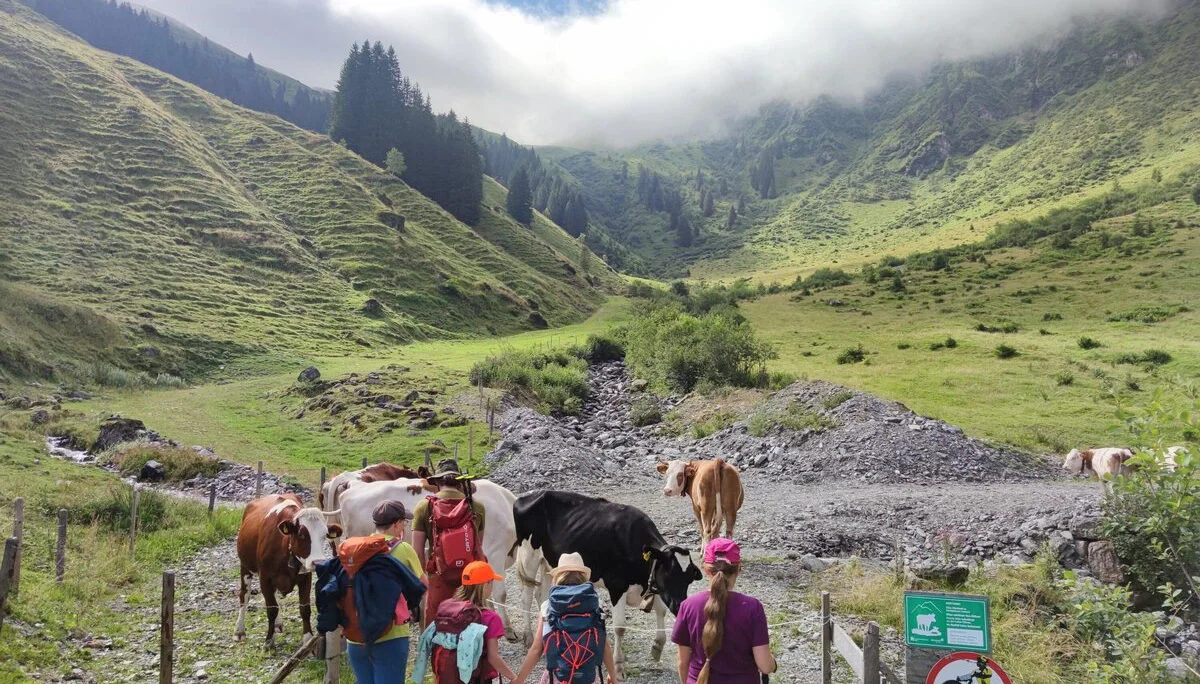 Bochumer Hütte | © Schlappinger Anna