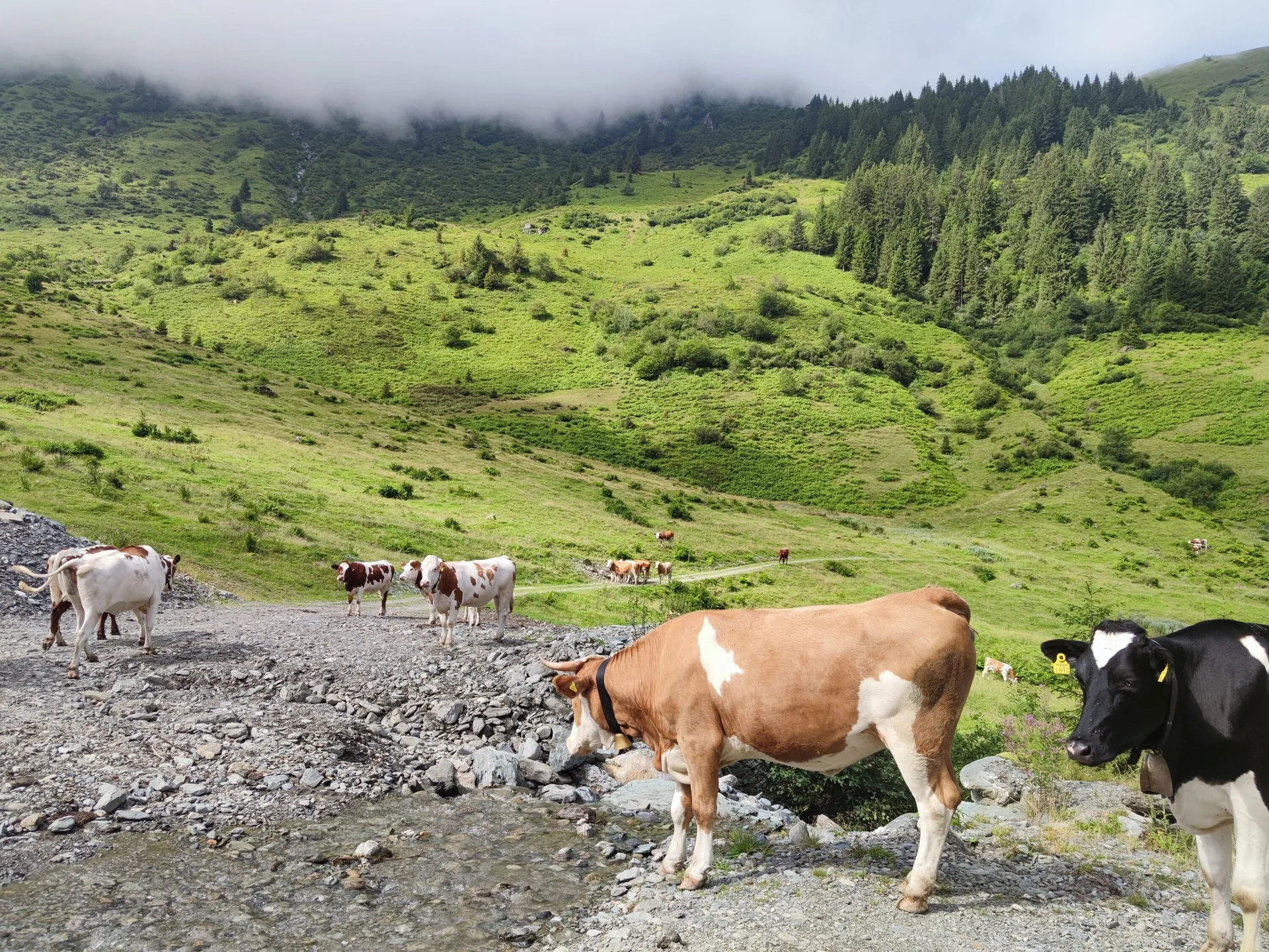 Bochumer Hütte | © Schlappinger Anna