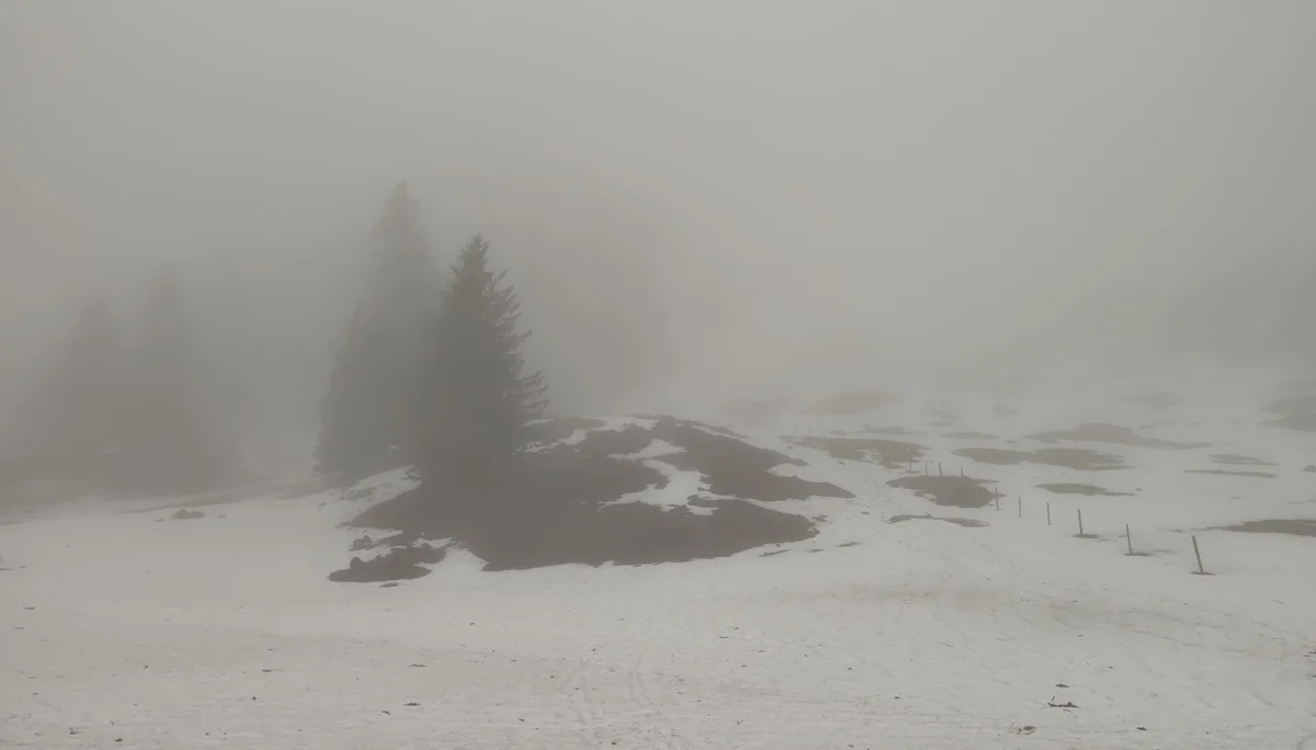 Nebelwetter & Regen im Aufstieg | © Anna Schlappinger