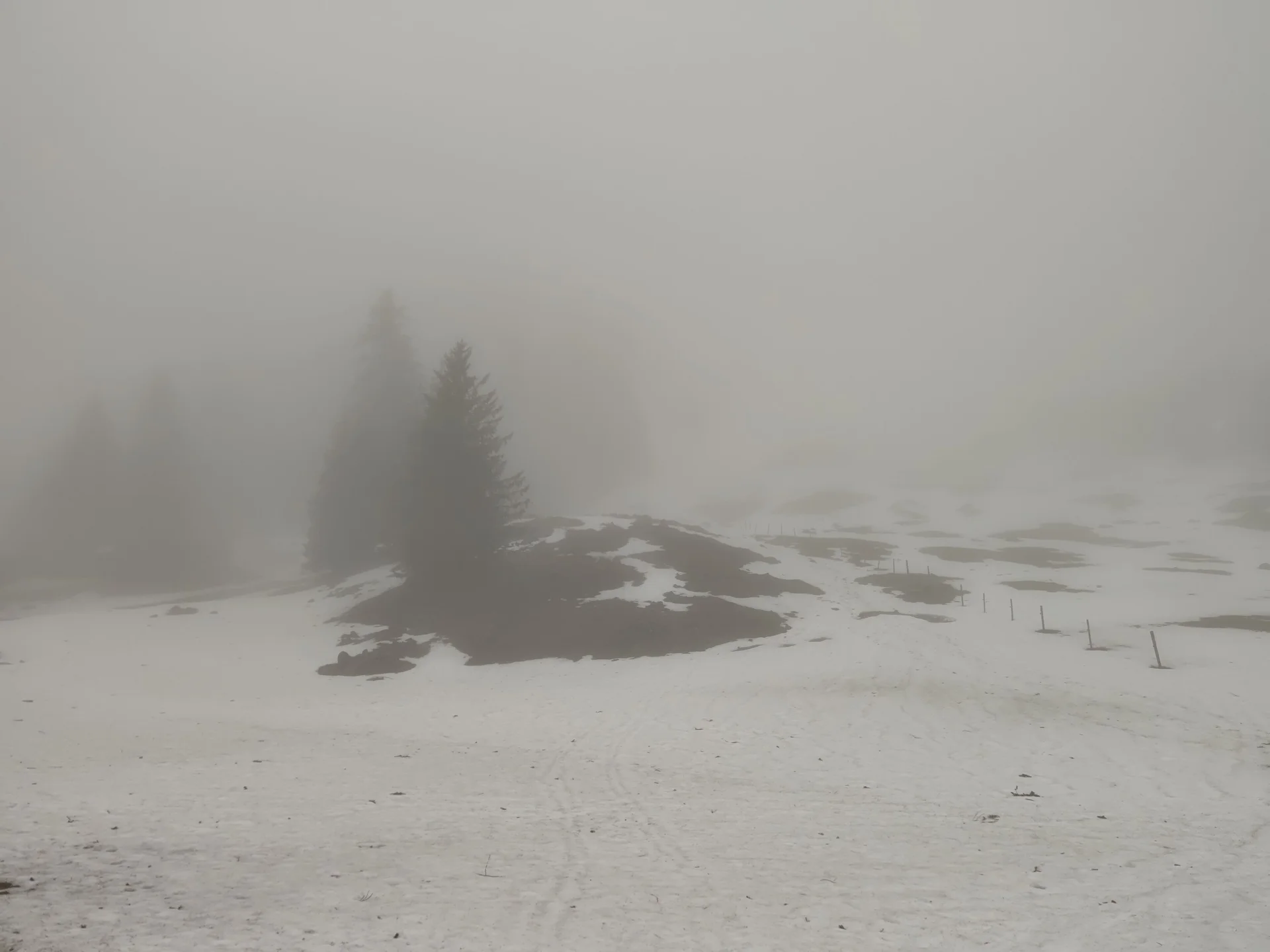 Nebelwetter & Regen im Aufstieg | © Anna Schlappinger