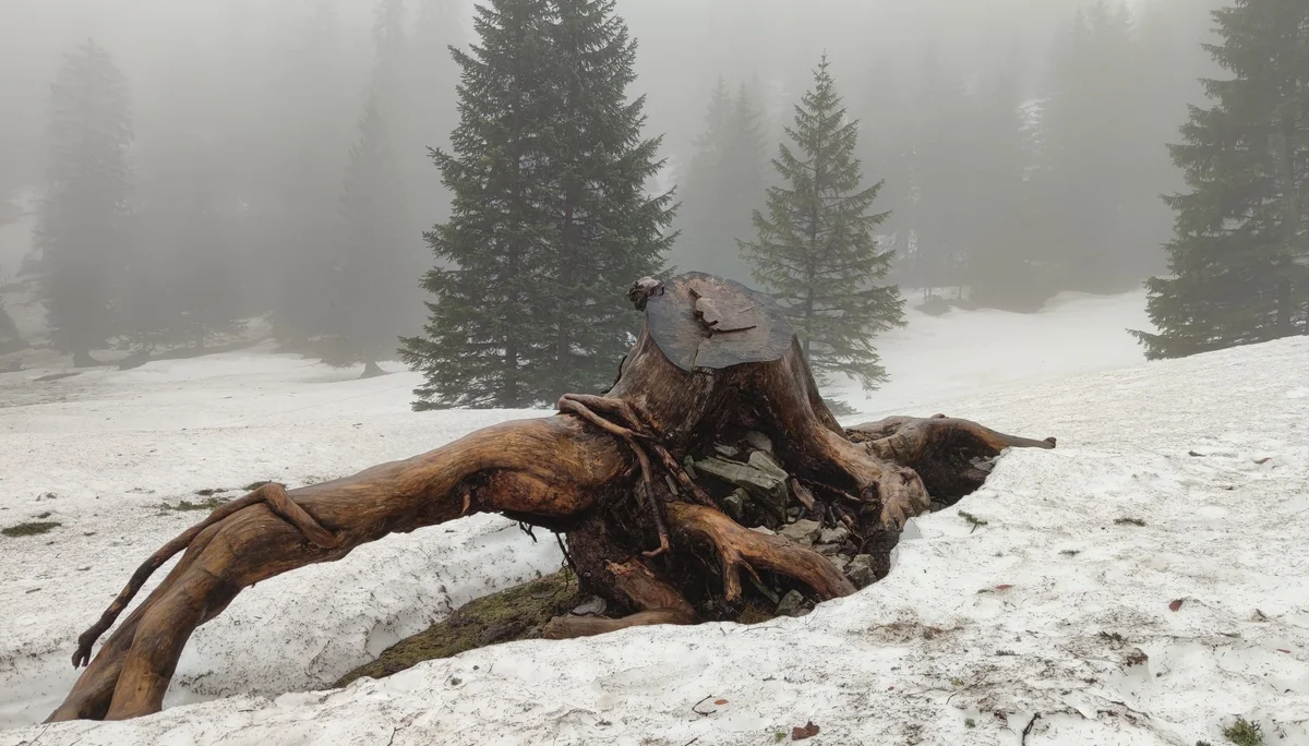 Bilderbuchlandschaft | © Anna Schlappinger