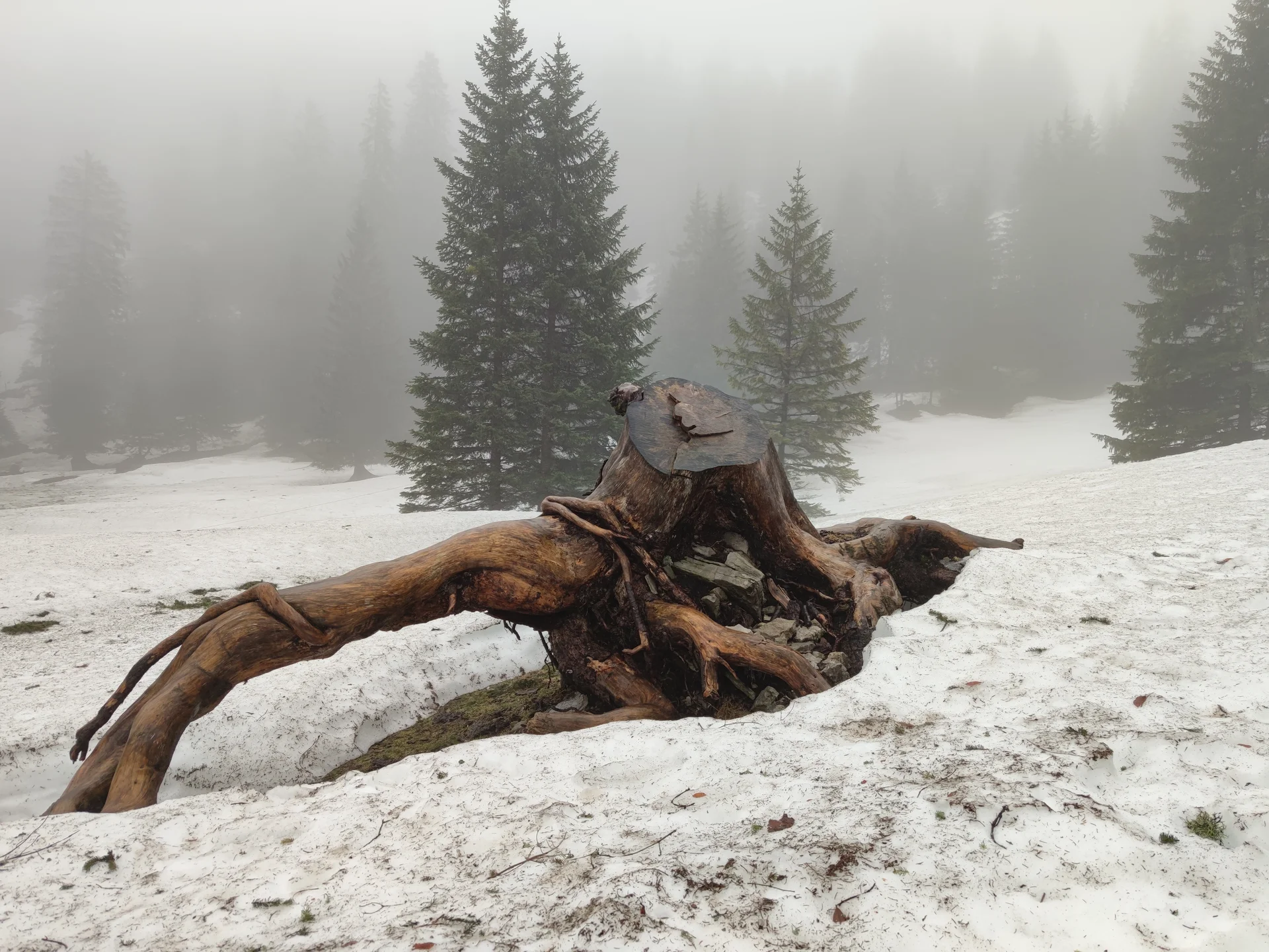 Bilderbuchlandschaft | © Anna Schlappinger