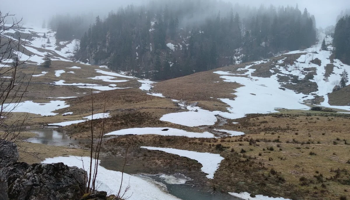 Es ist nass aber wunderschön - Ausblick auf die Freudenreich Alm | © Anna Schlappinger