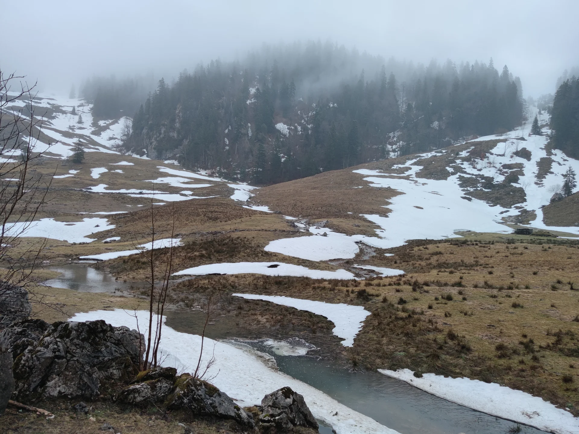 Es ist nass aber wunderschön - Ausblick auf die Freudenreich Alm | © Anna Schlappinger