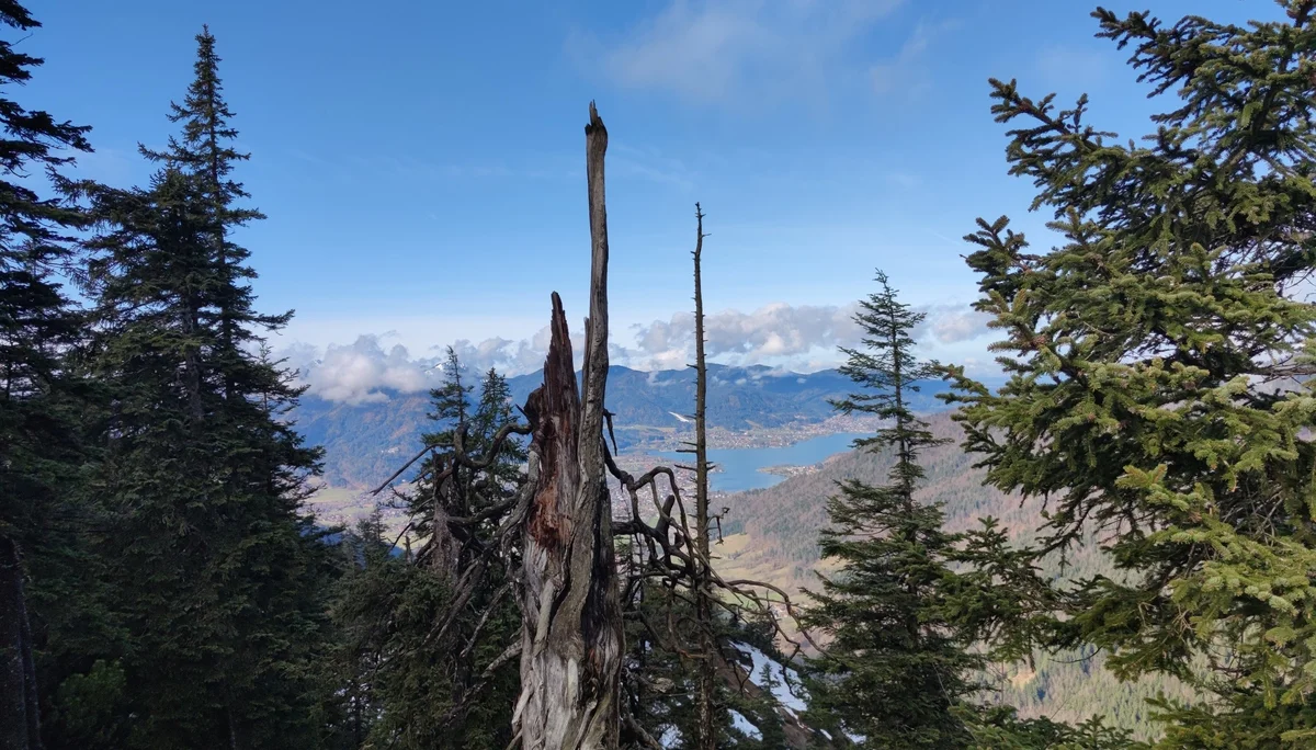 Herrlicher Ausblick | © Anna Schlappinger