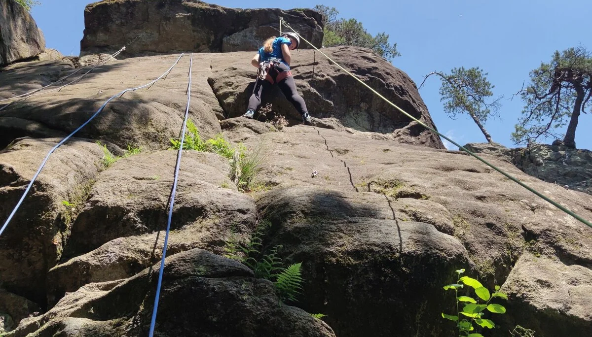 Fahrt ins Blaue | © Schlappinger Anna