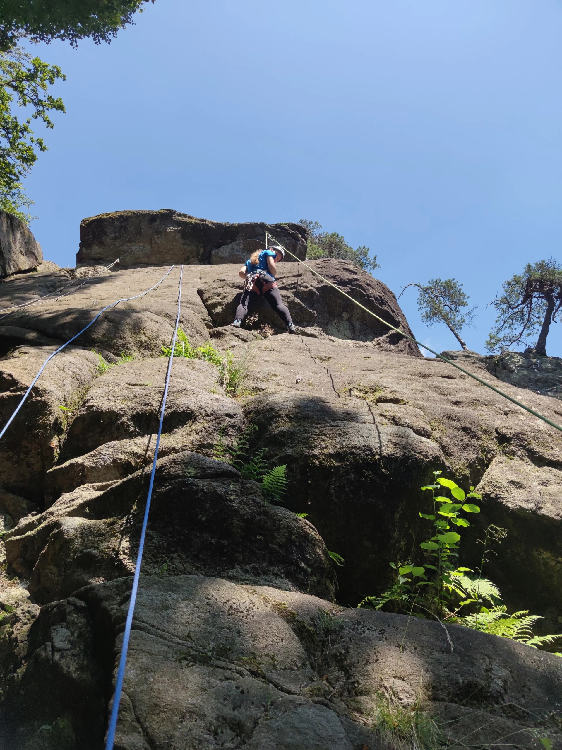 Fahrt ins Blaue | © Schlappinger Anna