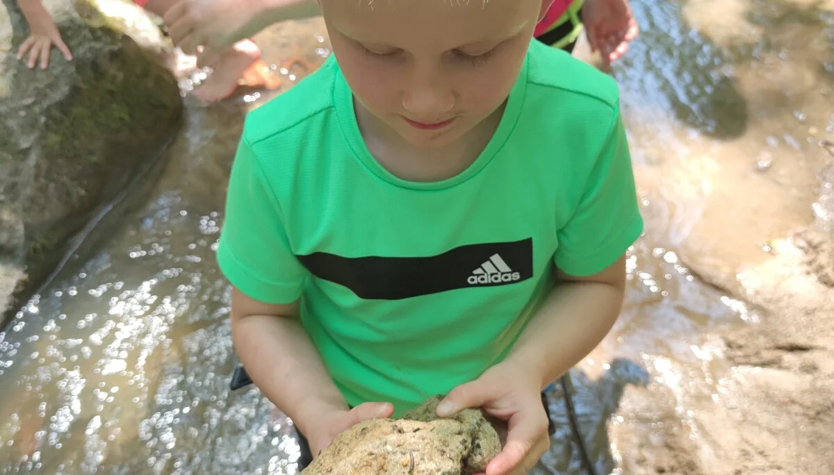 Fahrt ins Blaue | © Schlappinger Anna