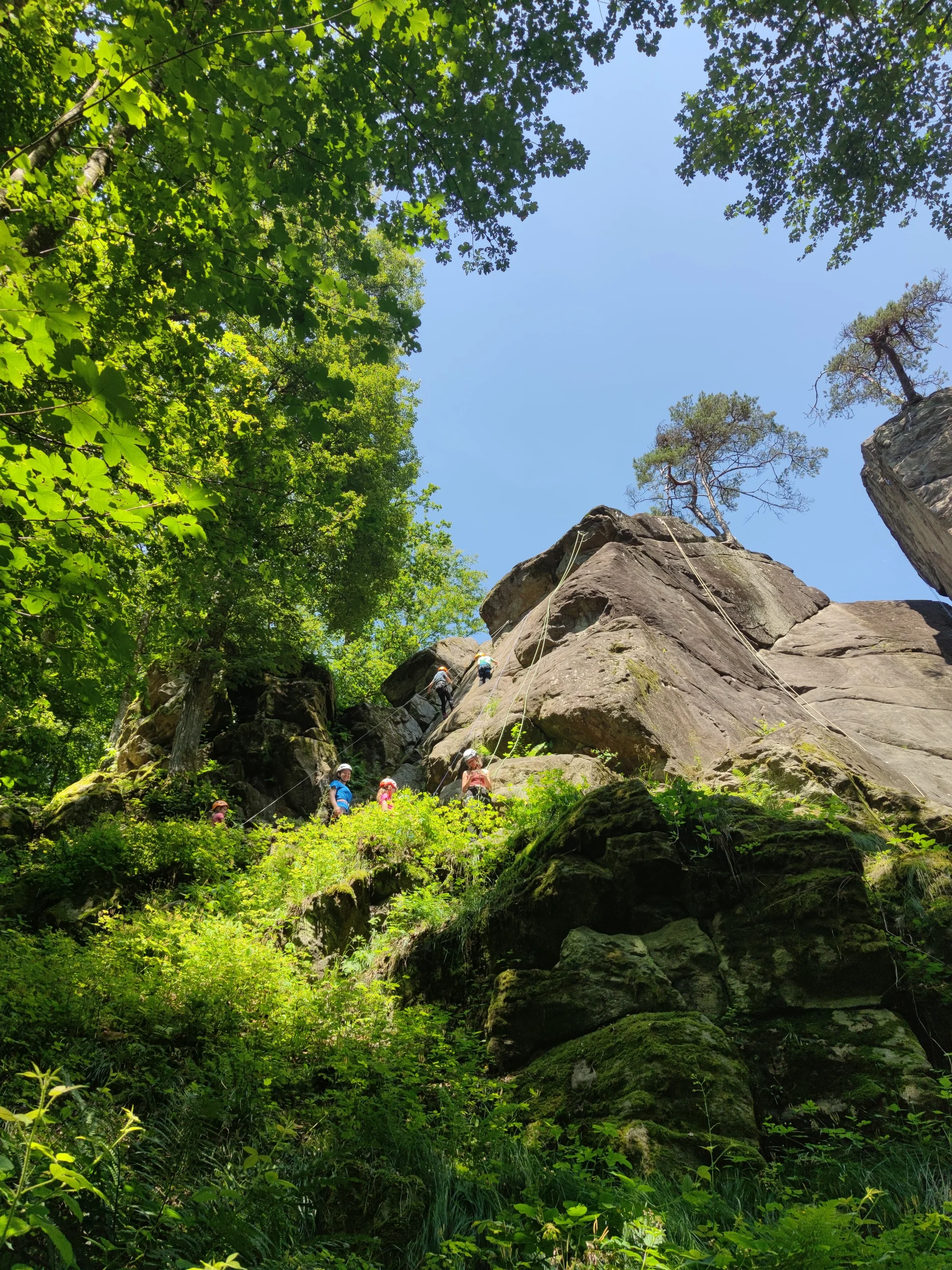 Fahrt ins Blaue | © Schlappinger Anna