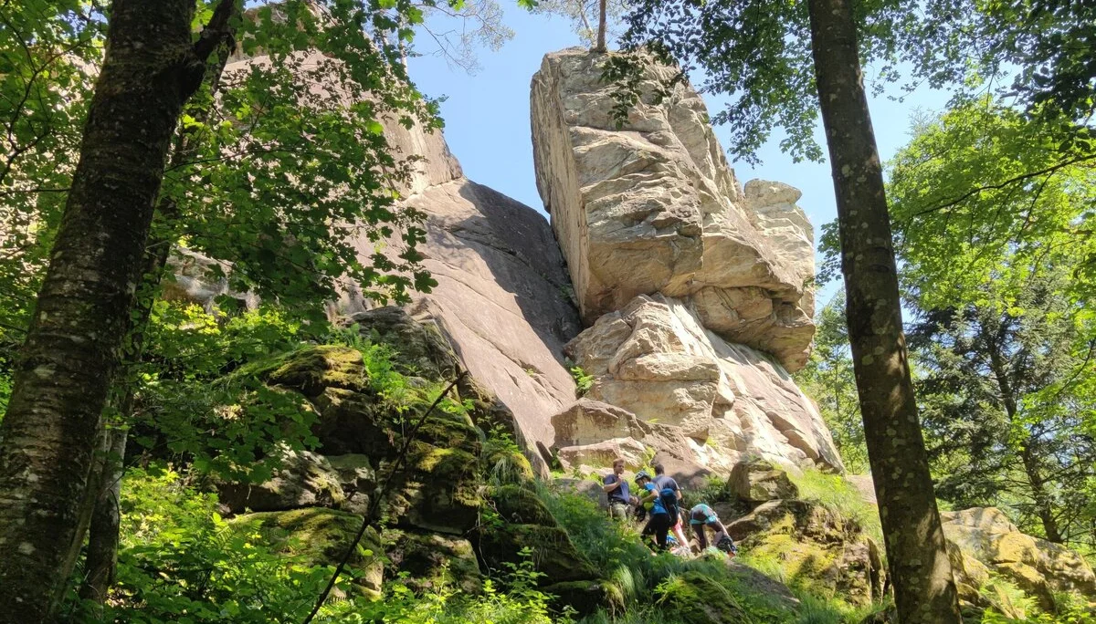 Fahrt ins Blaue | © Schlappinger Anna