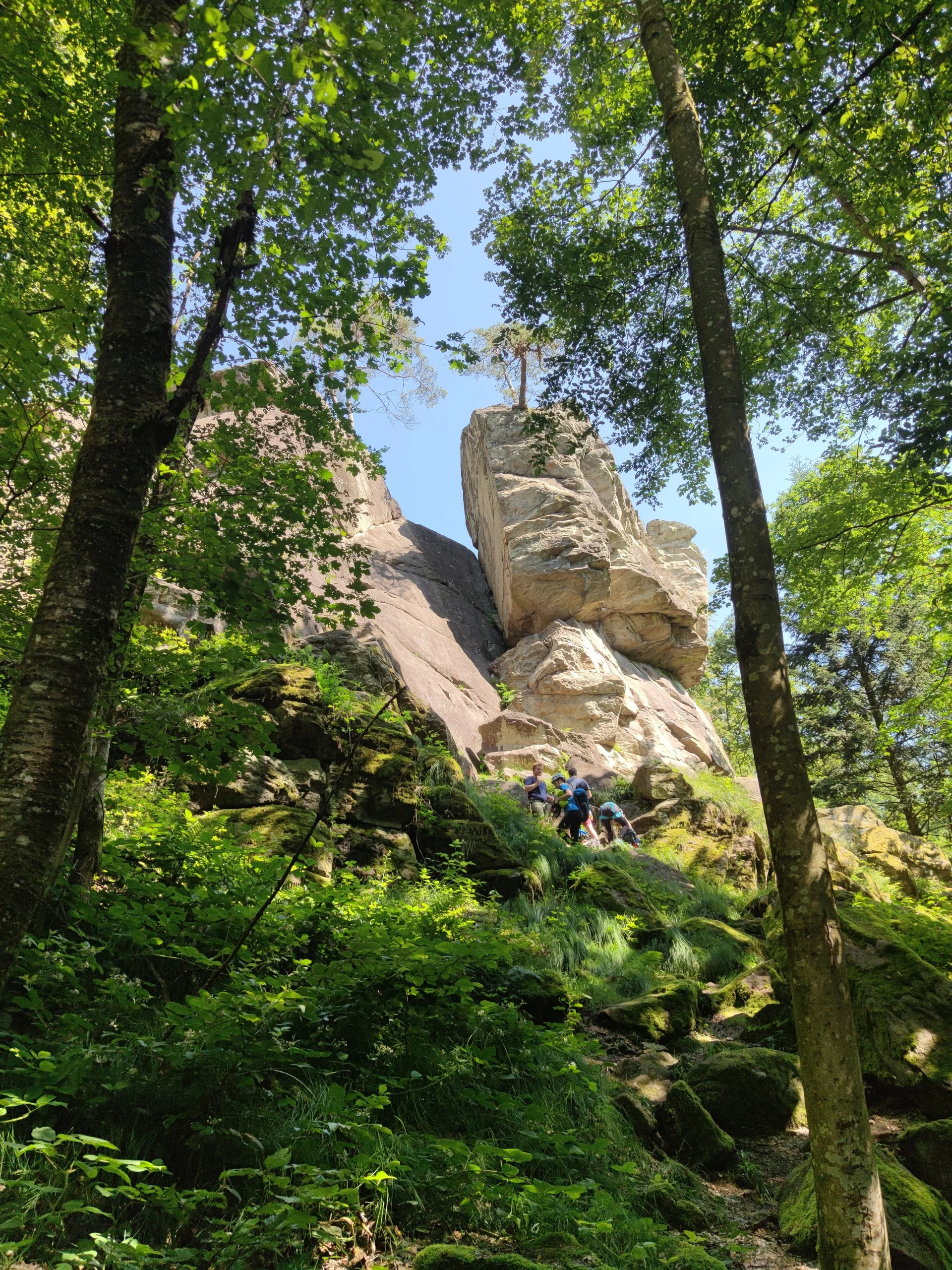 Fahrt ins Blaue | © Schlappinger Anna