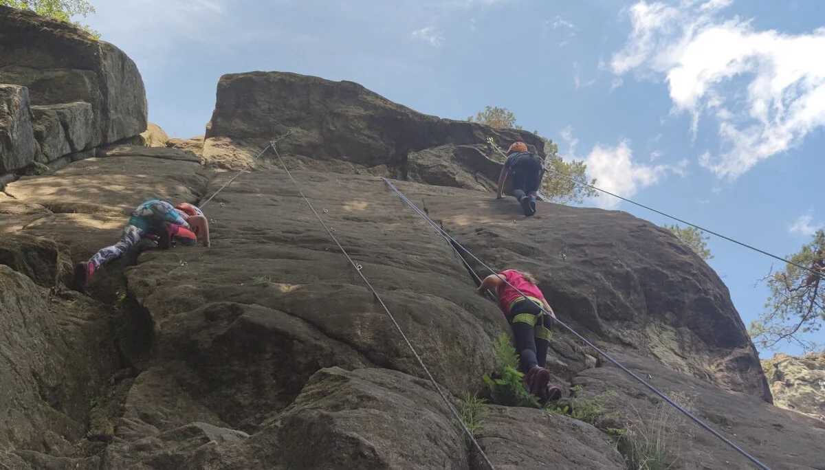 Fahrt ins Blaue | © Schlappinger Anna