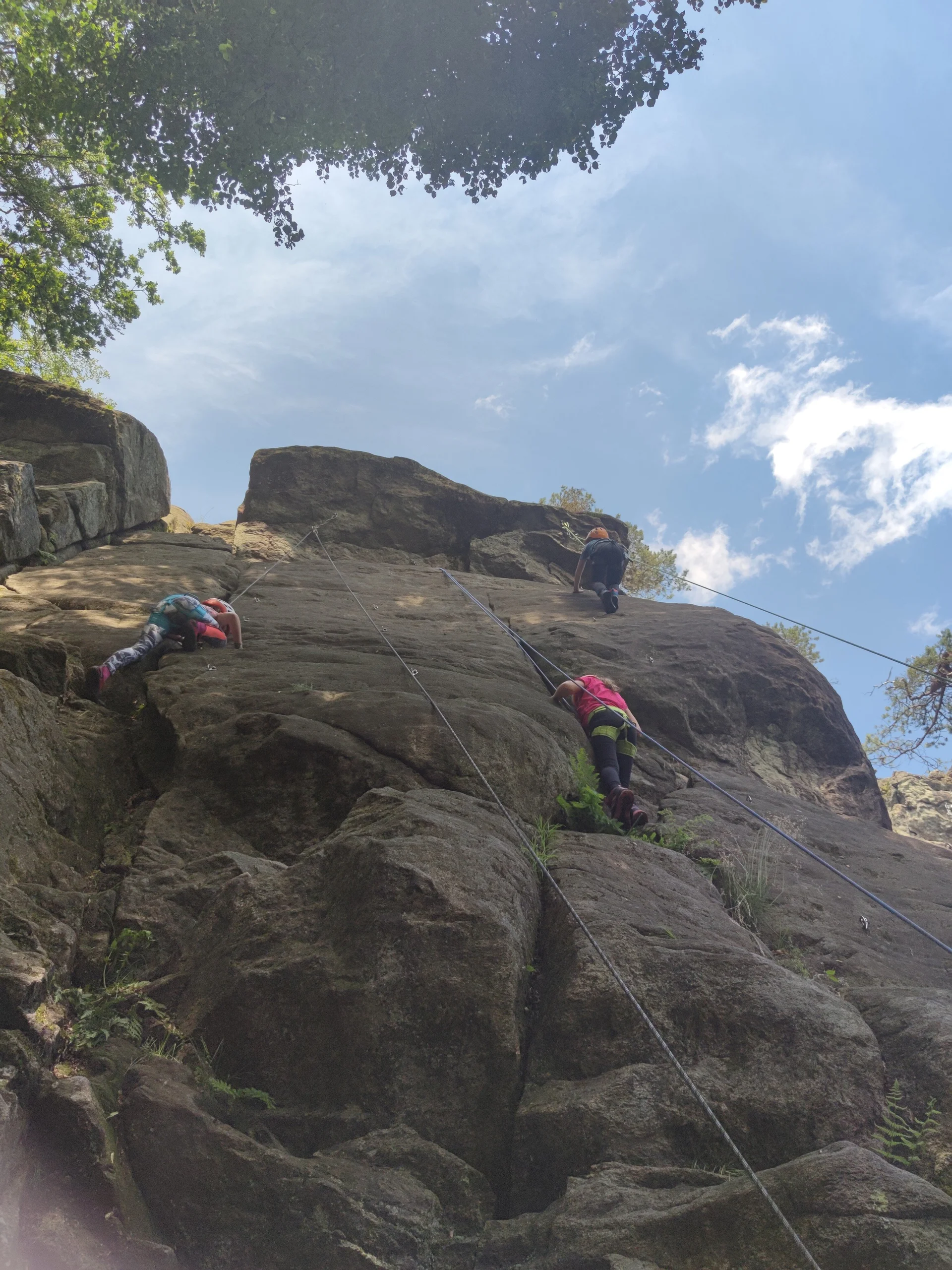 Fahrt ins Blaue | © Schlappinger Anna