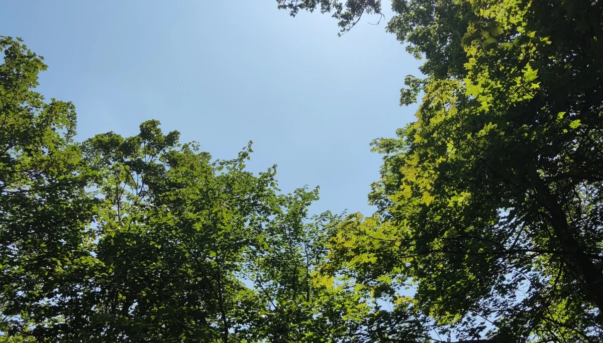 Fahrt ins Blaue | © Schlappinger Anna