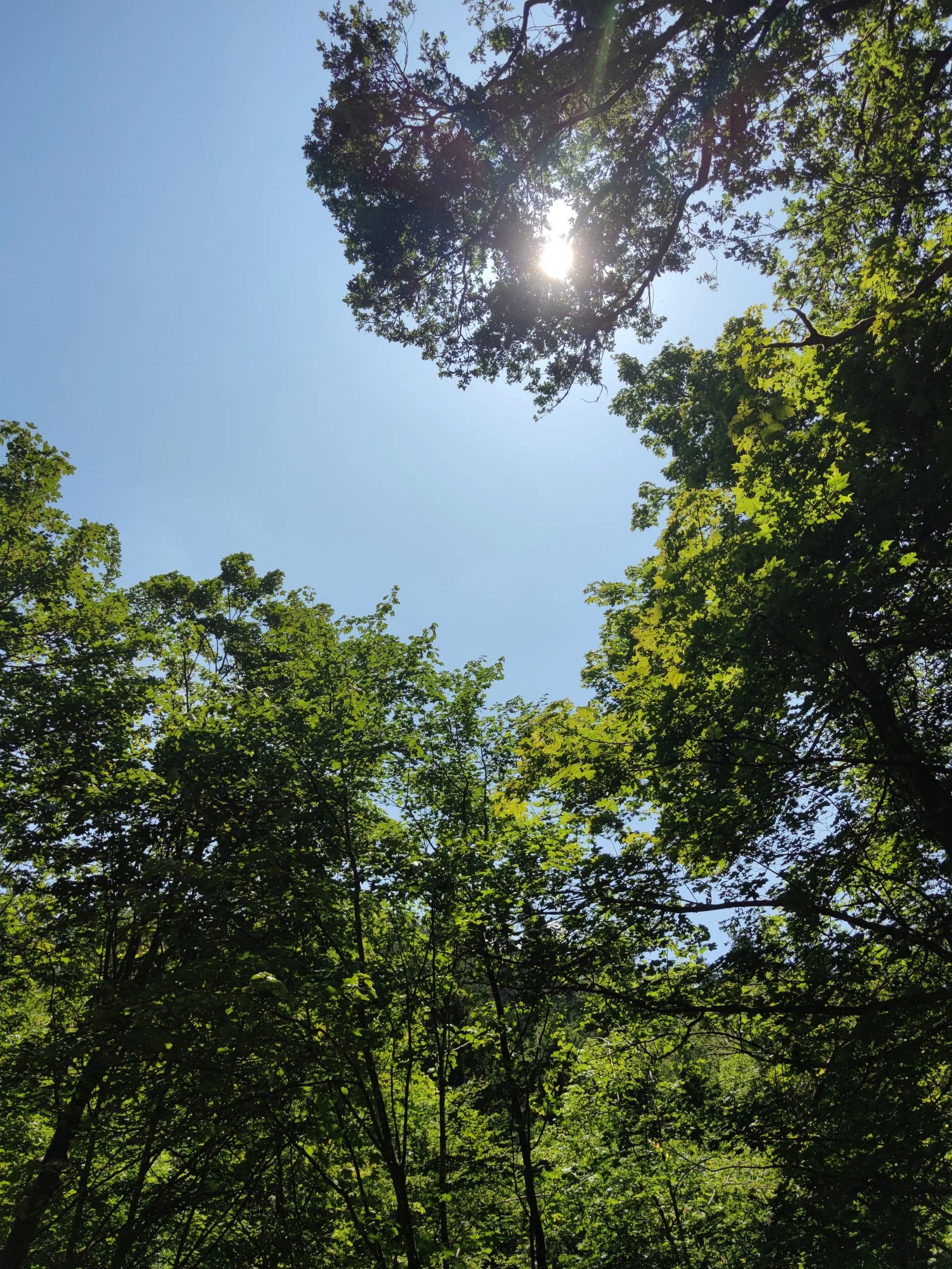 Fahrt ins Blaue | © Schlappinger Anna