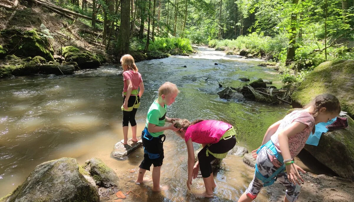 Fahrt ins Blaue | © Schlappinger Anna