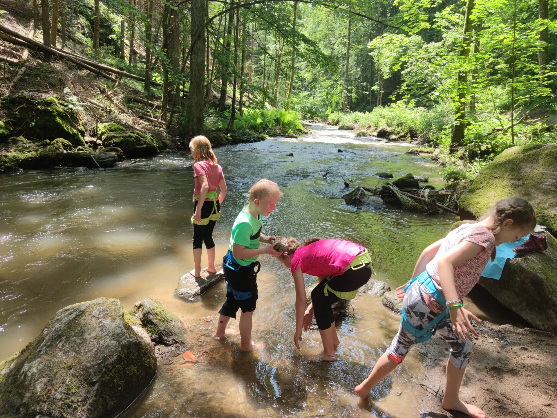 Fahrt ins Blaue | © Schlappinger Anna