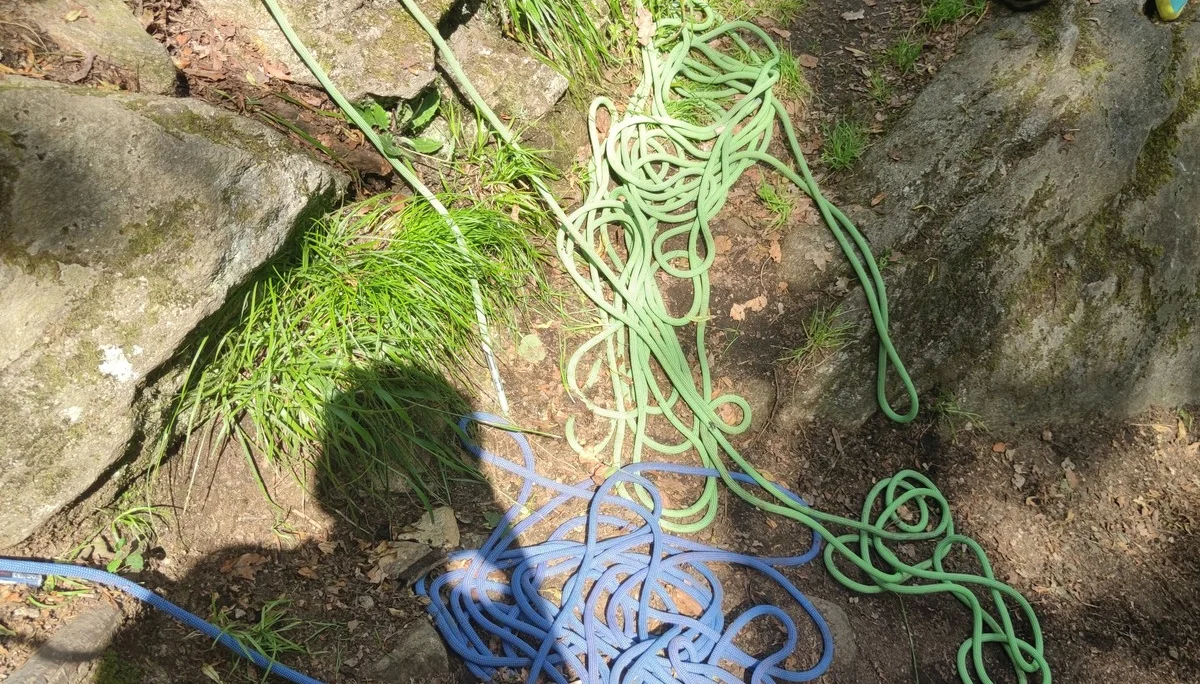 Fahrt ins Blaue | © Schlappinger Anna