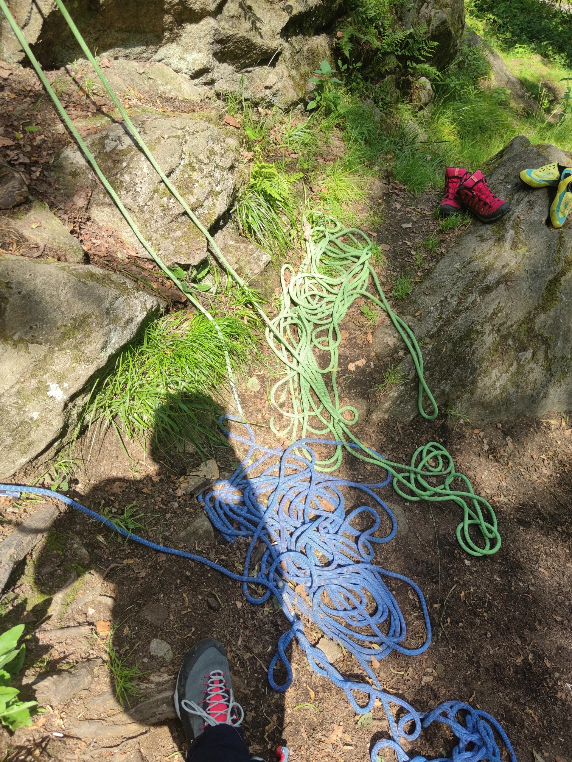 Fahrt ins Blaue | © Schlappinger Anna