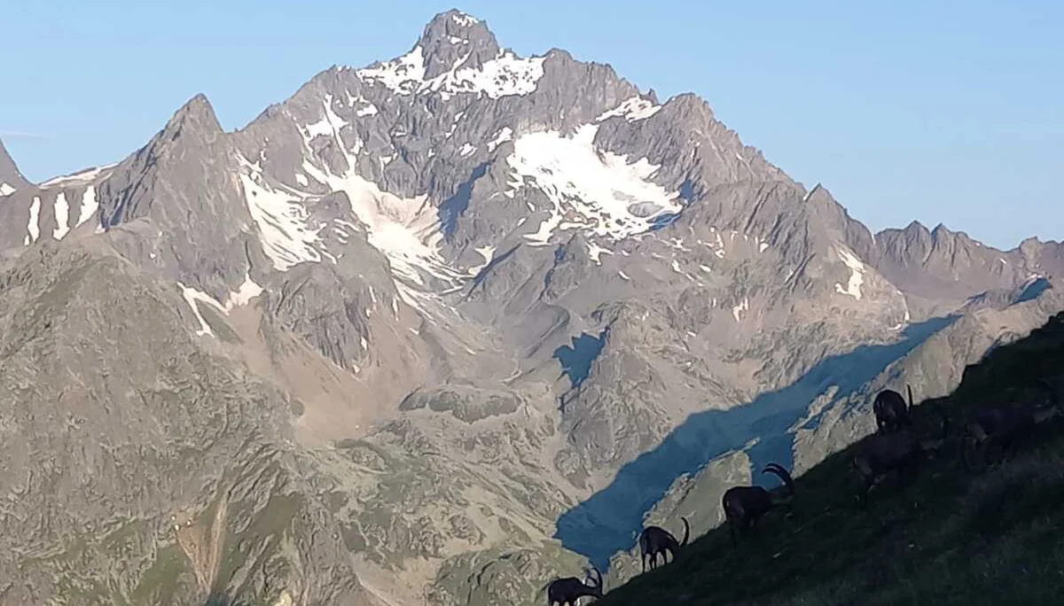 Bergtour auf die Hohe Geige | © Eichinger Sebastian