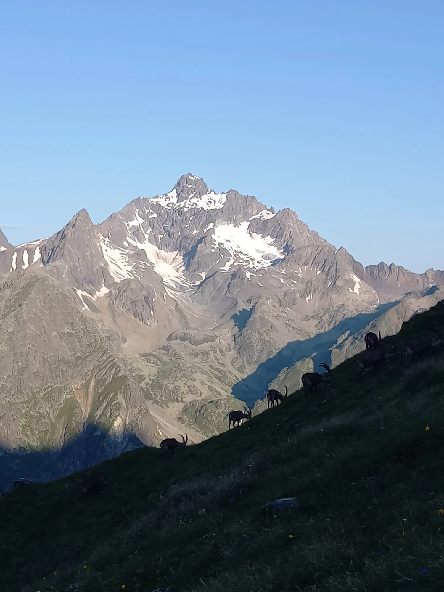 Bergtour auf die Hohe Geige | © Eichinger Sebastian