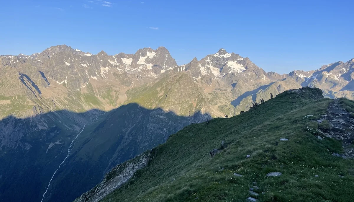 Bergtour auf die Hohe Geige | © Eichinger Sebastian